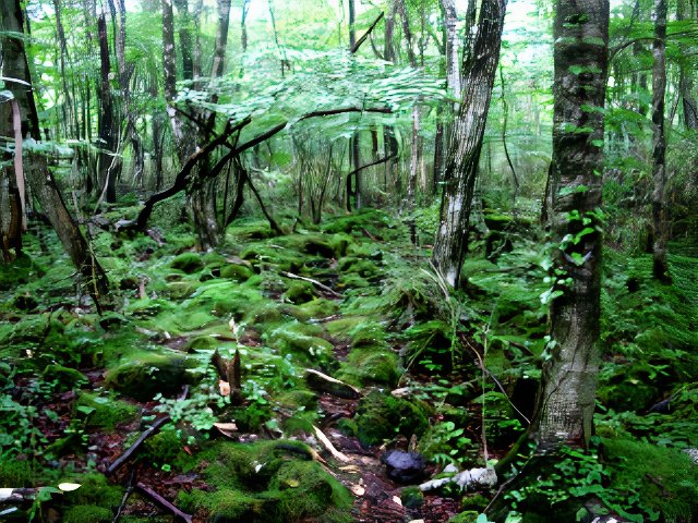 052_photos_v2_x2.jpg