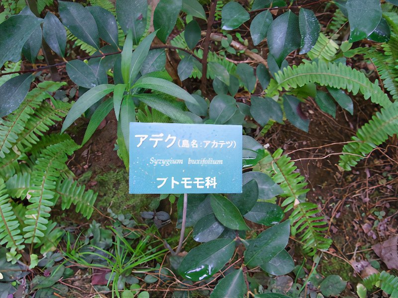 004_photos_v2_x2.jpg