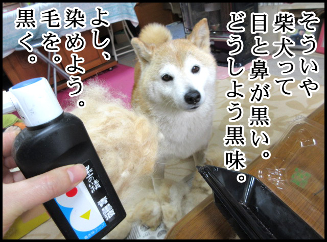 b02.jpg
