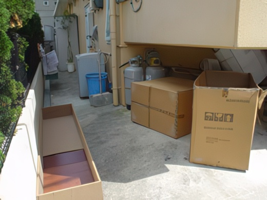 24-topaz-low resolution v2-2x.jpg