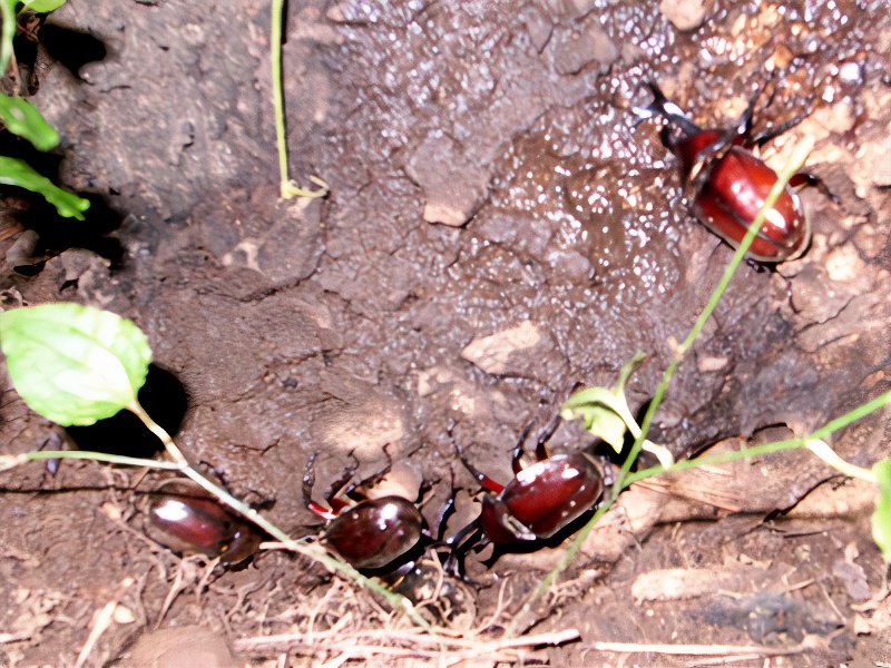 RIMG5853_photos_v2_x2.jpg