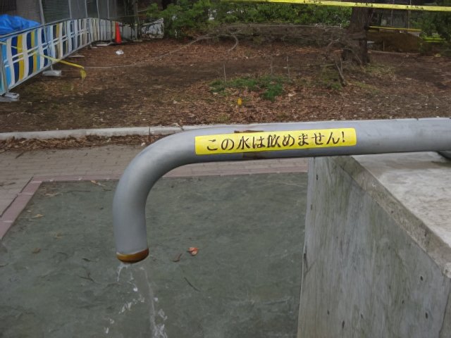 IMG_4926-topaz-low resolution-640w.jpg