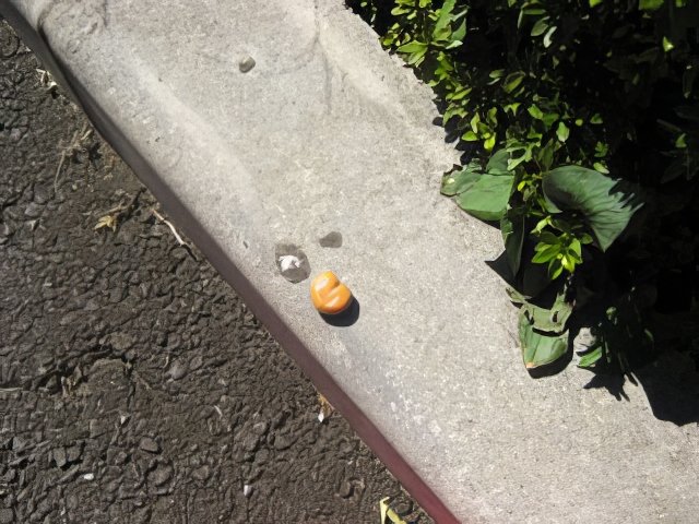 IMG_3113-topaz-standard v2-2x.jpg