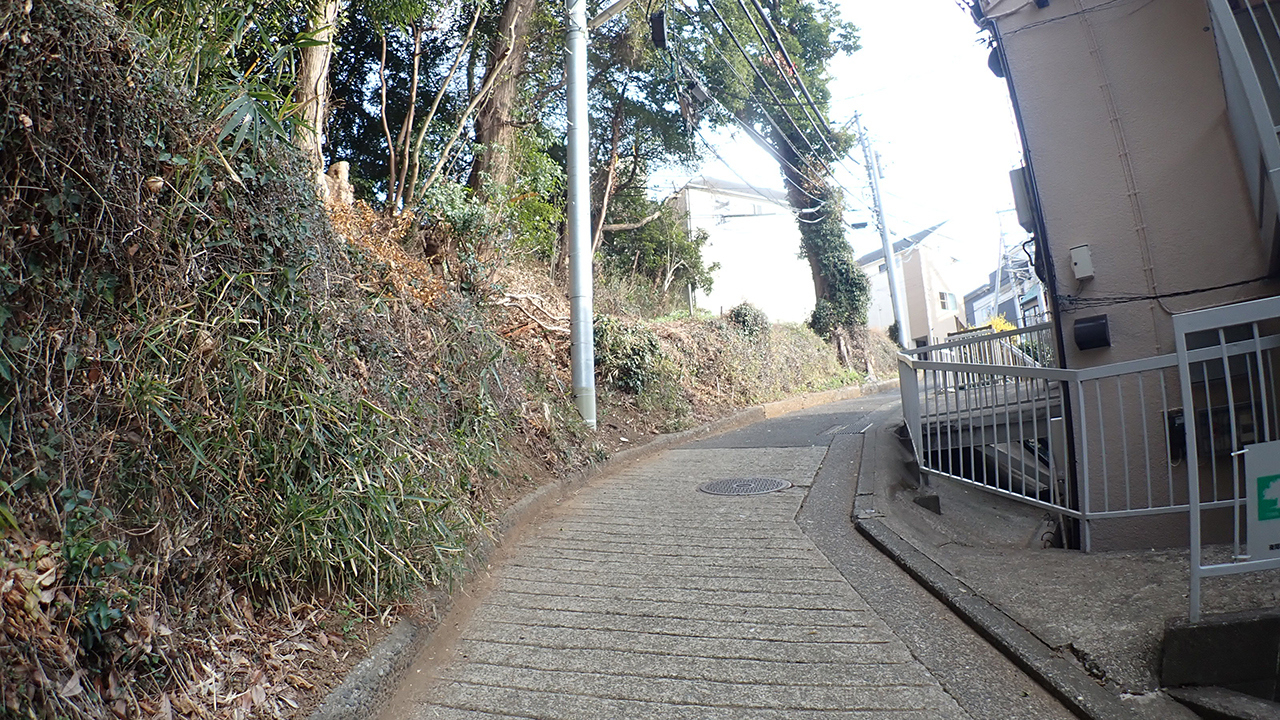 P3243248.jpg