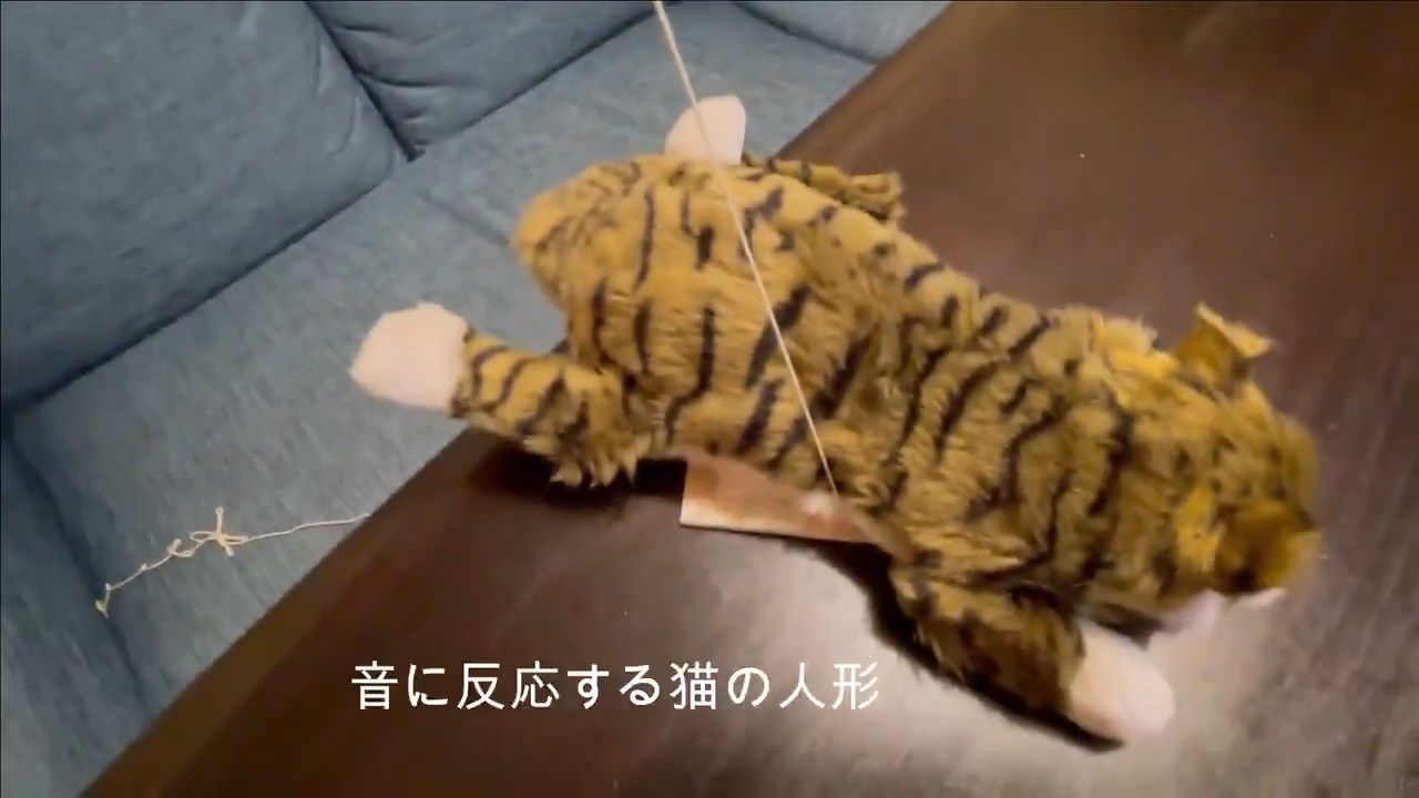 hori2.jpg