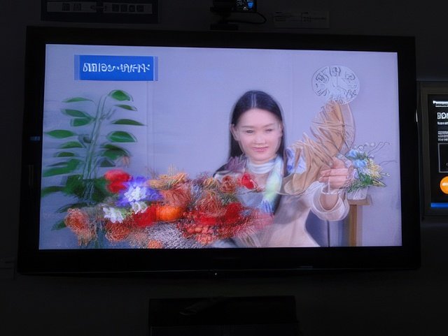 016-topaz-standard v2-640w.jpg