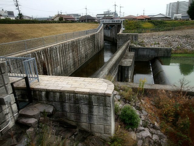 021-topaz-standard v2-640w.jpg