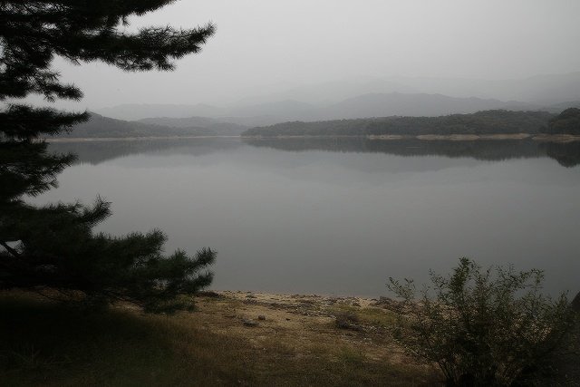 036-topaz-standard v2-640w.jpg