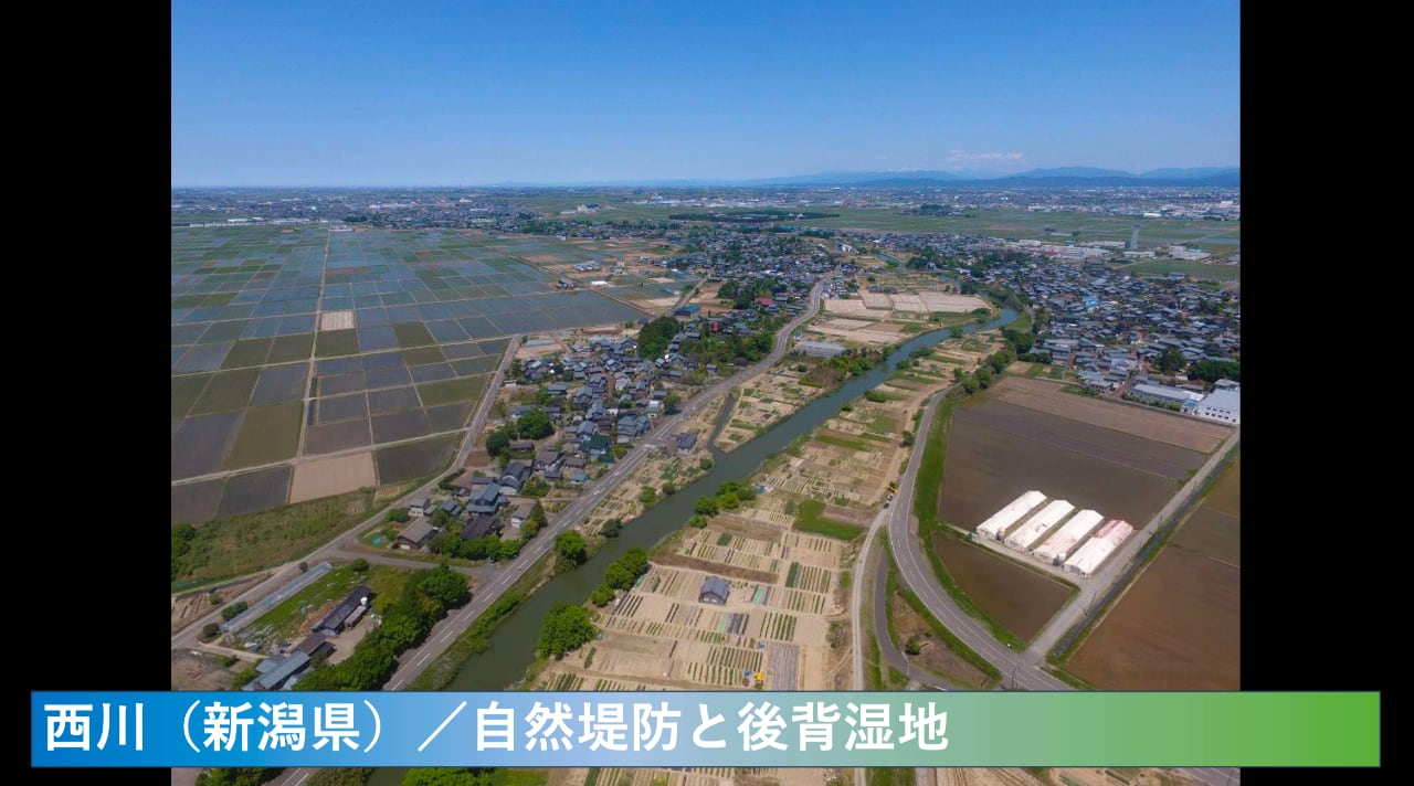 nishikawa-1.jpg