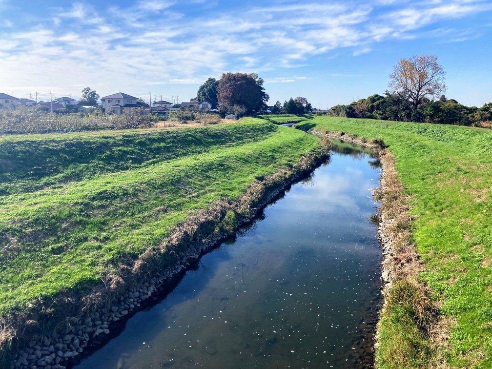 marsh_06.JPG