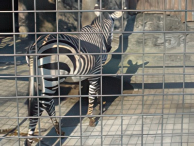 3-15-topaz-low resolution v2-2x.jpg