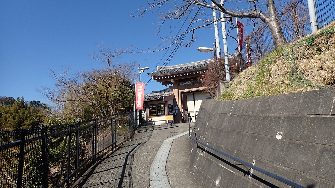 P1310528.jpg