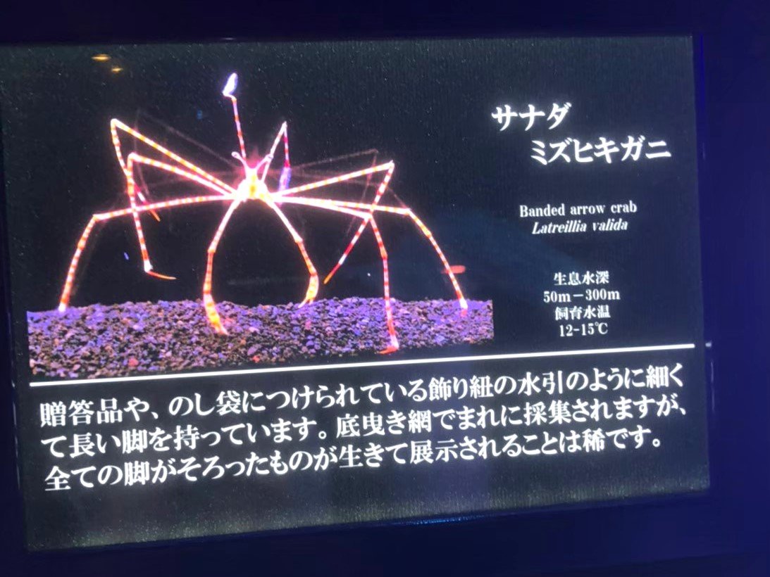 04.jpg