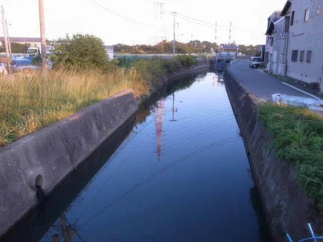 021-topaz-standard v2-640w.jpg