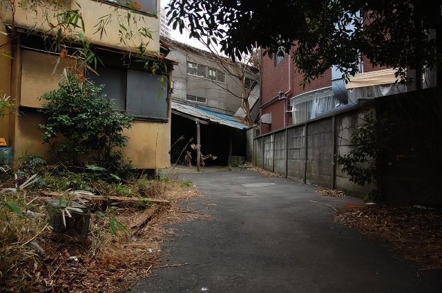 DSC_0308-topaz-low resolution-640w.jpg