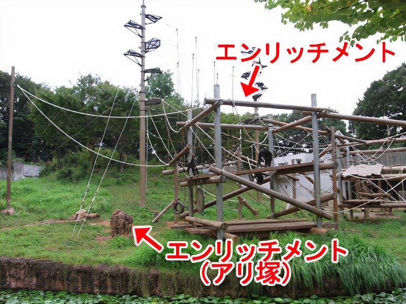 06_photos_v2_x2.jpg