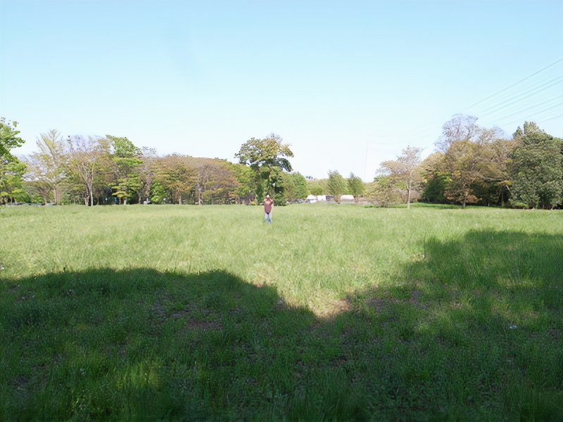 R0020371_photos_v2_x2.jpg