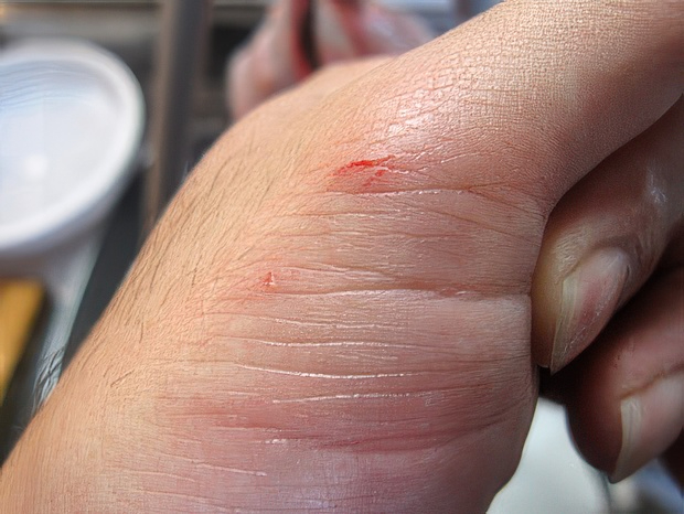 IMG_4421-topaz-standard v2-2x.jpg