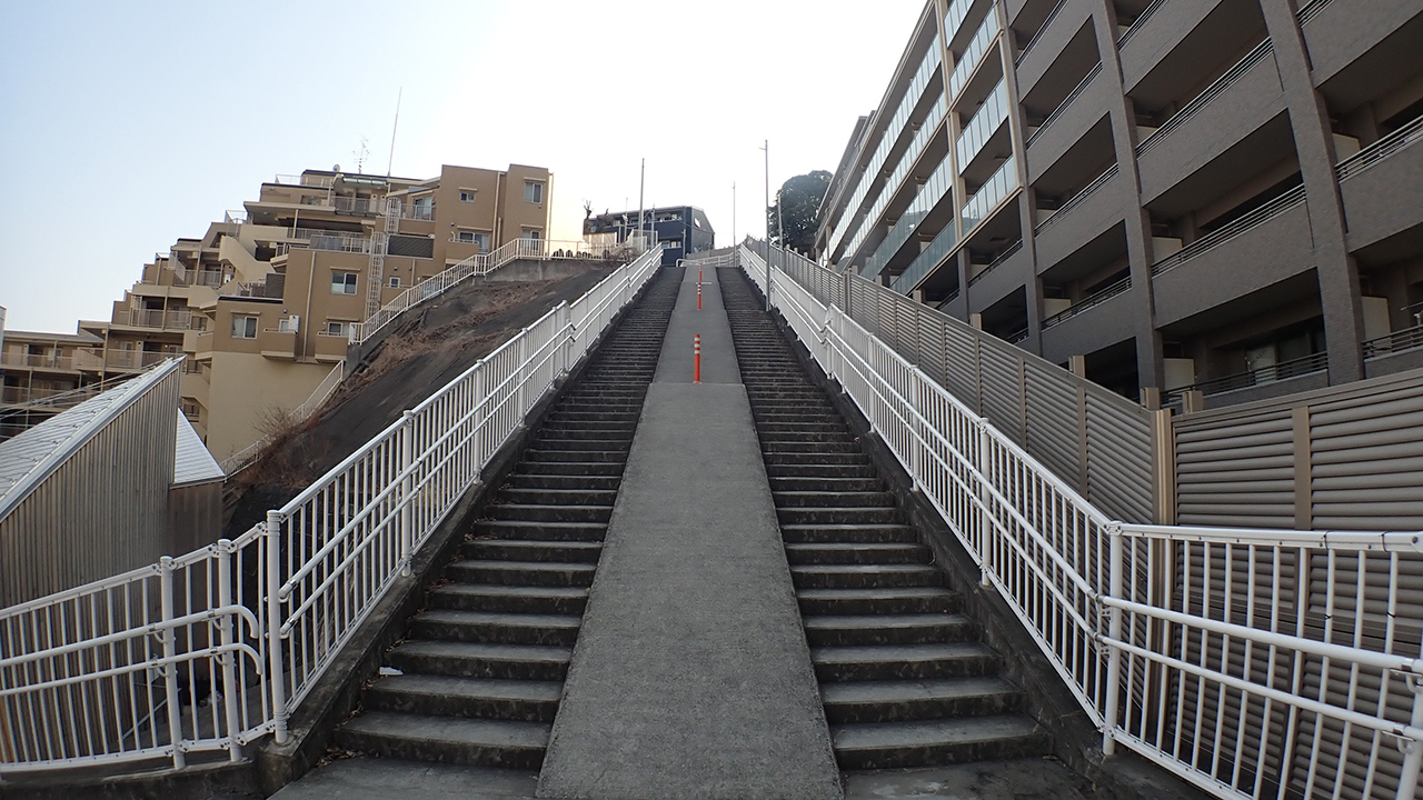 P3243297.jpg