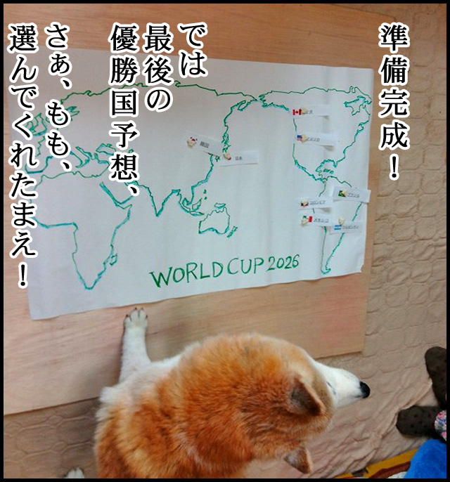 d08.jpg