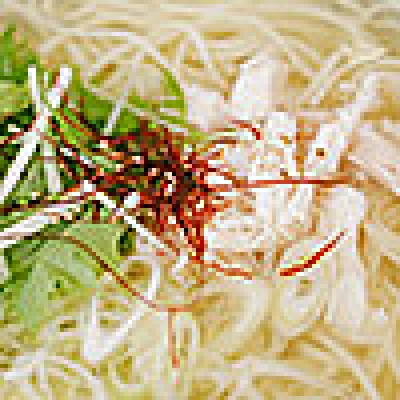 揖保乃糸の「そうめん」ではなく、揖保乃糸の「パスタ」を食べる