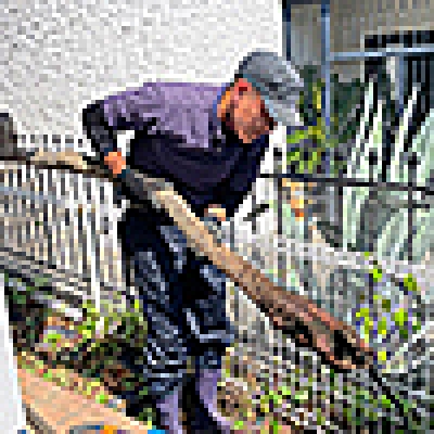 木を放置してはいけない～成長して手に負えなくなった木を伐採してもらう～（傑作選）