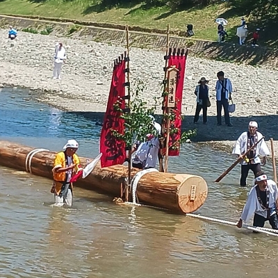 20年に一度しかない「木をひっぱる祭り」に参加する