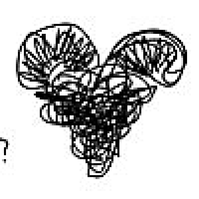 知らない動物を想像して絵に描いてから見に行く