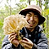 奥能登で愛されている高級キノコ、コノミタケを採りたい（傑作選）