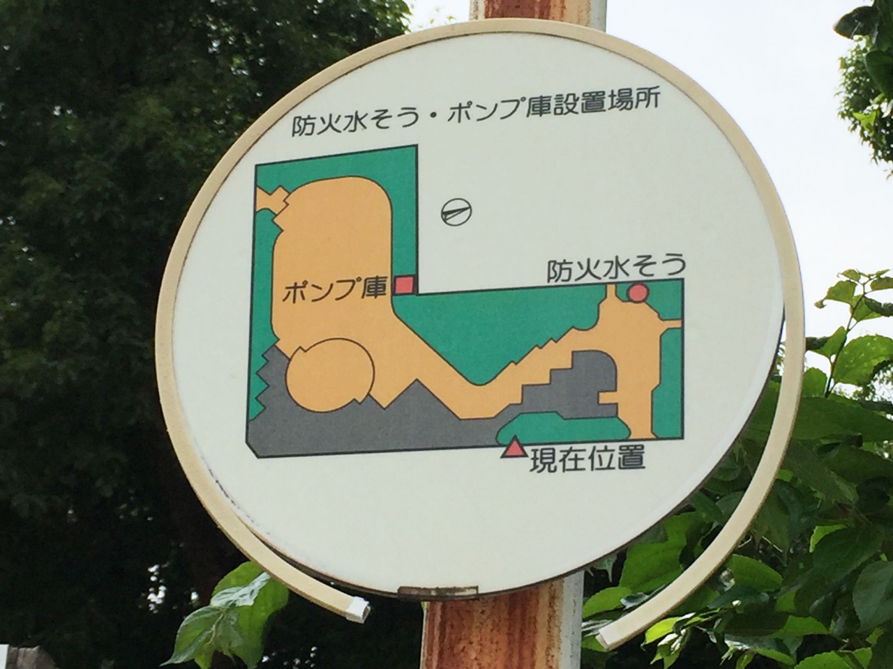 05.jpg