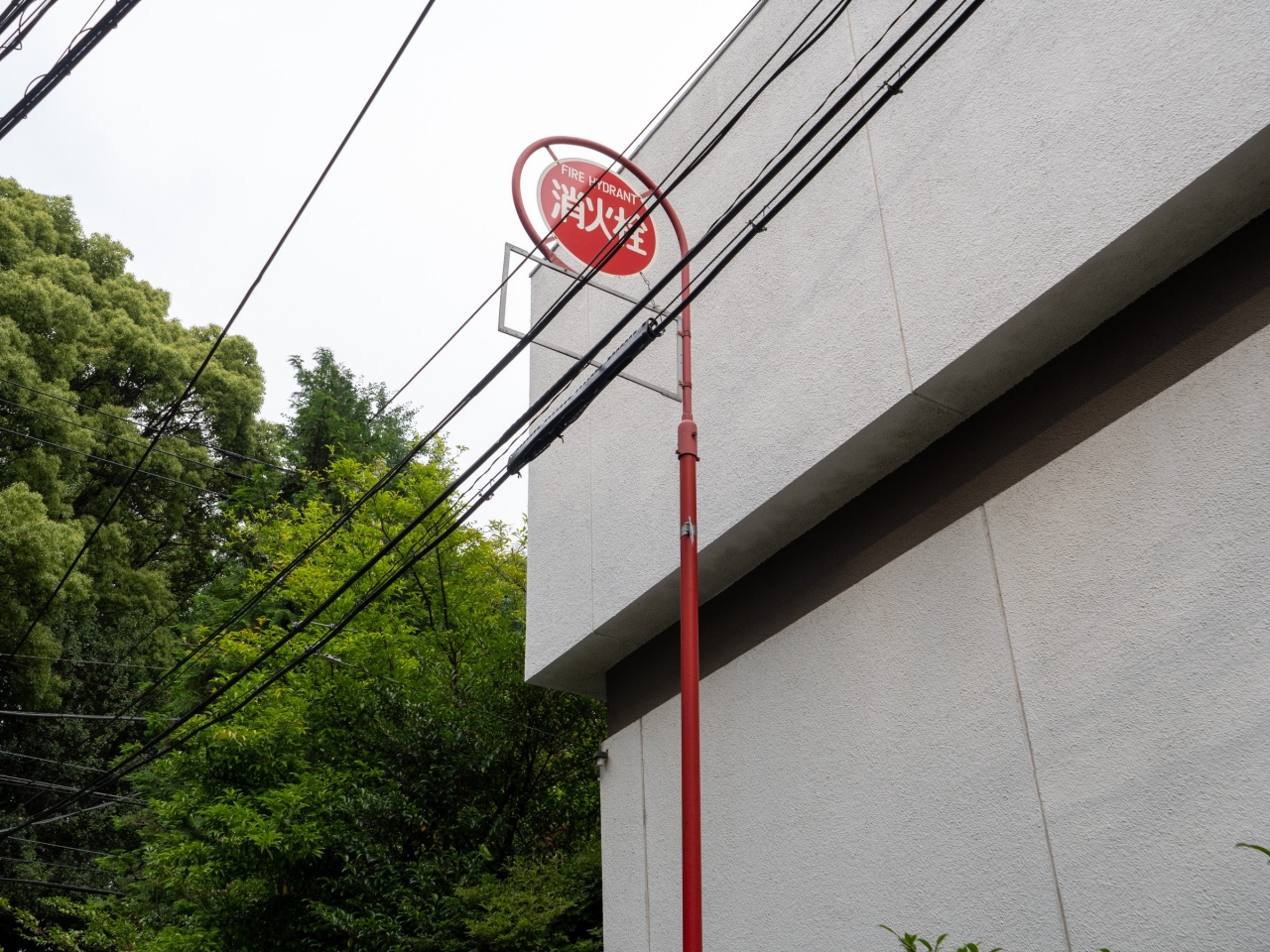 P1056953.jpg