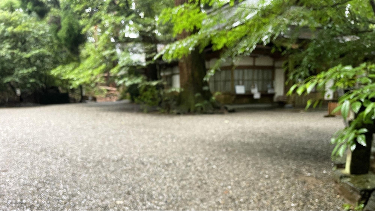 image10.jpg
