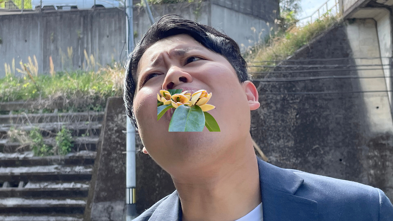 image13.png