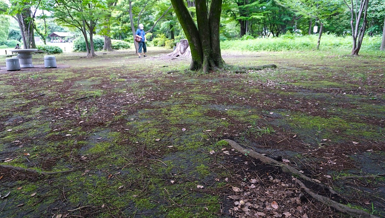 image11.jpg