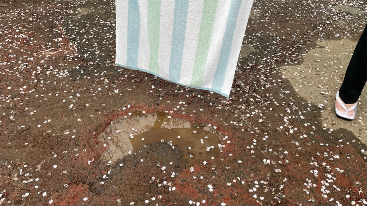 image26.jpg