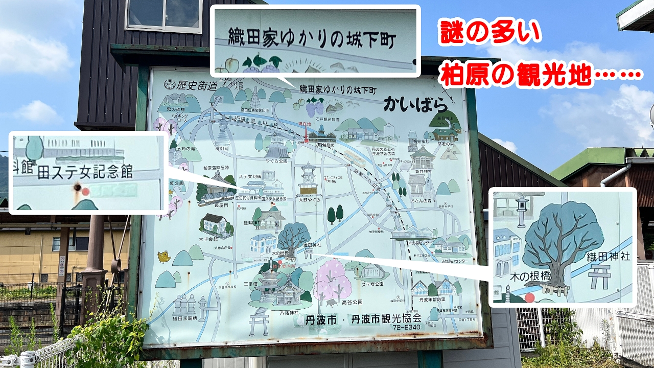06.jpg
