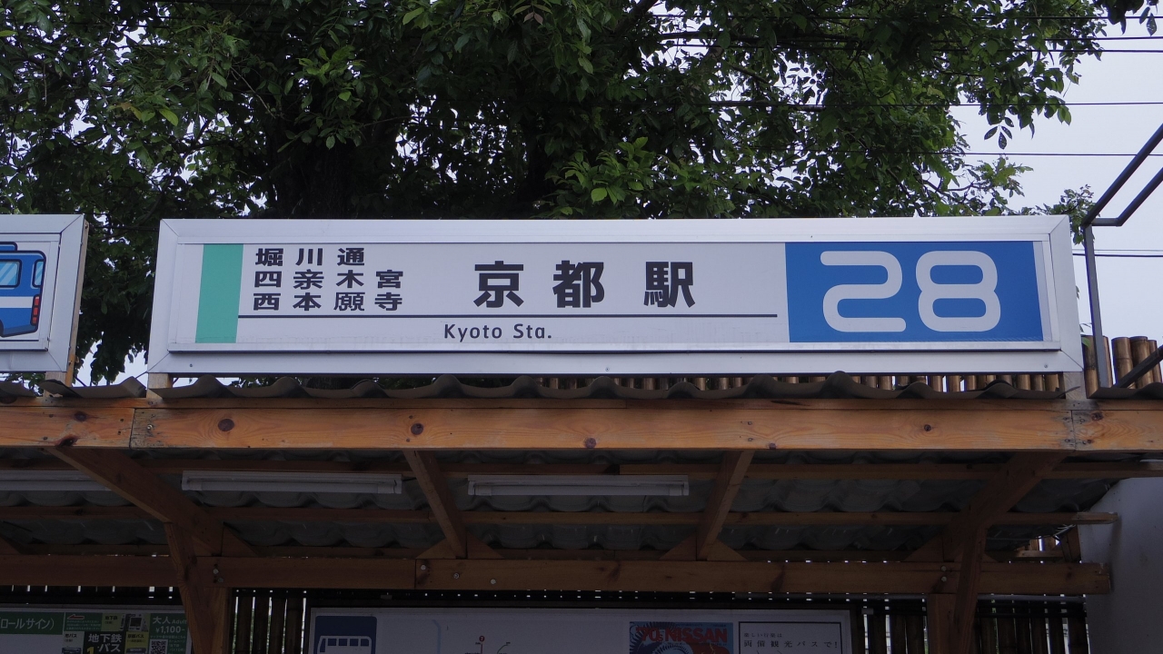 15.JPG