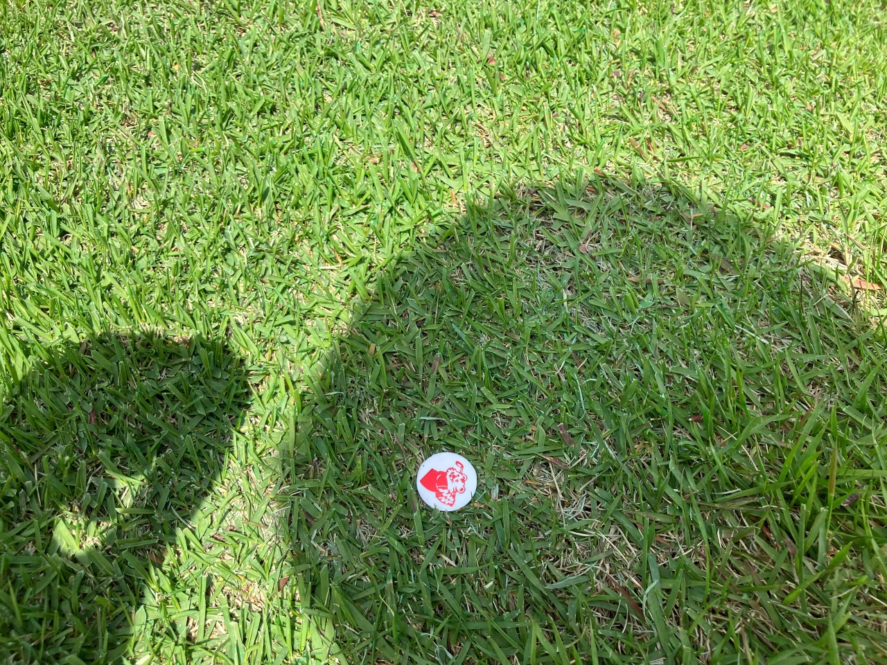IMG_3082_Original.JPG