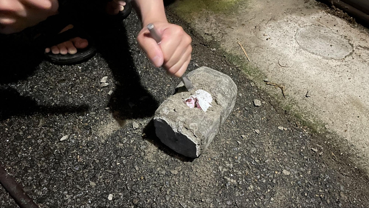 image1.jpg