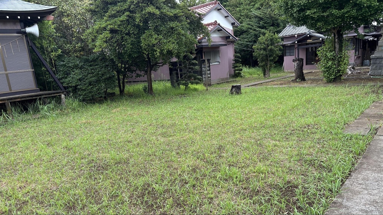 image9.jpg