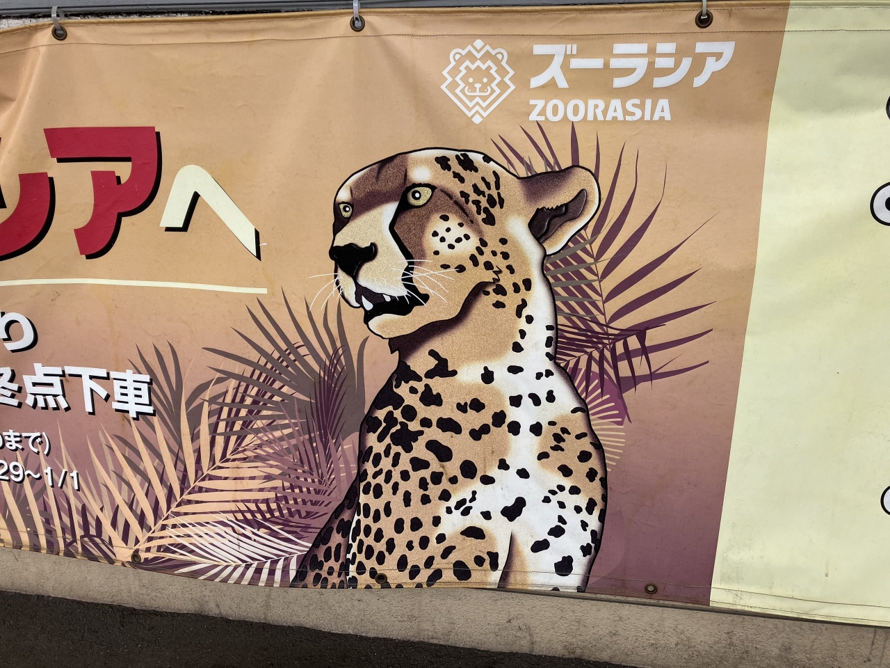 ヒョウ柄_11.JPG
