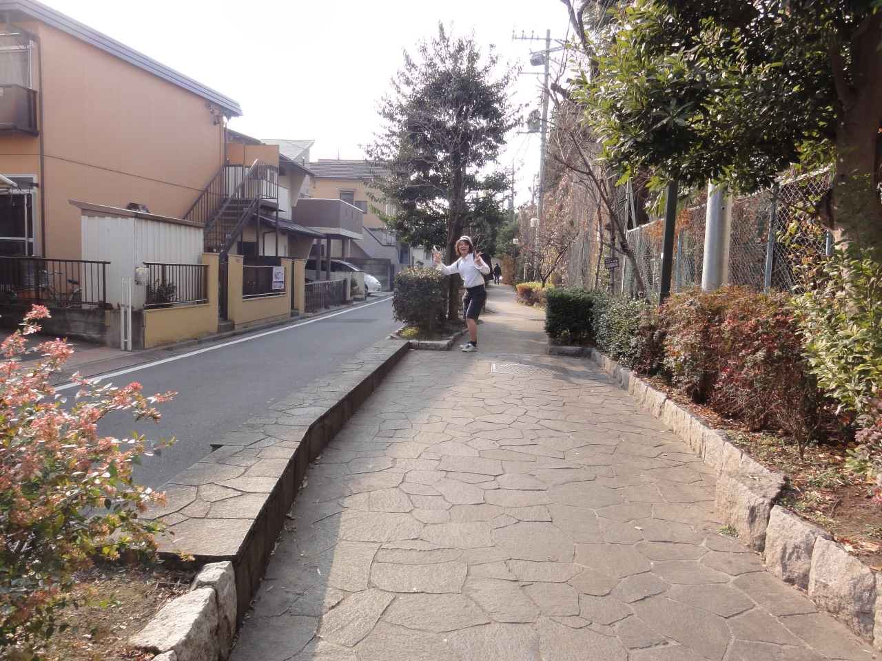 DSC07208_.jpg