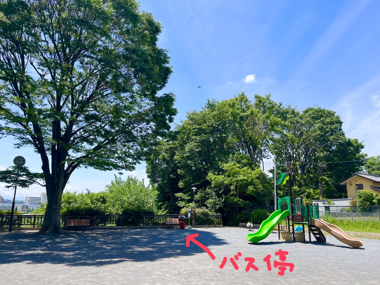 IMG_8687.jpeg