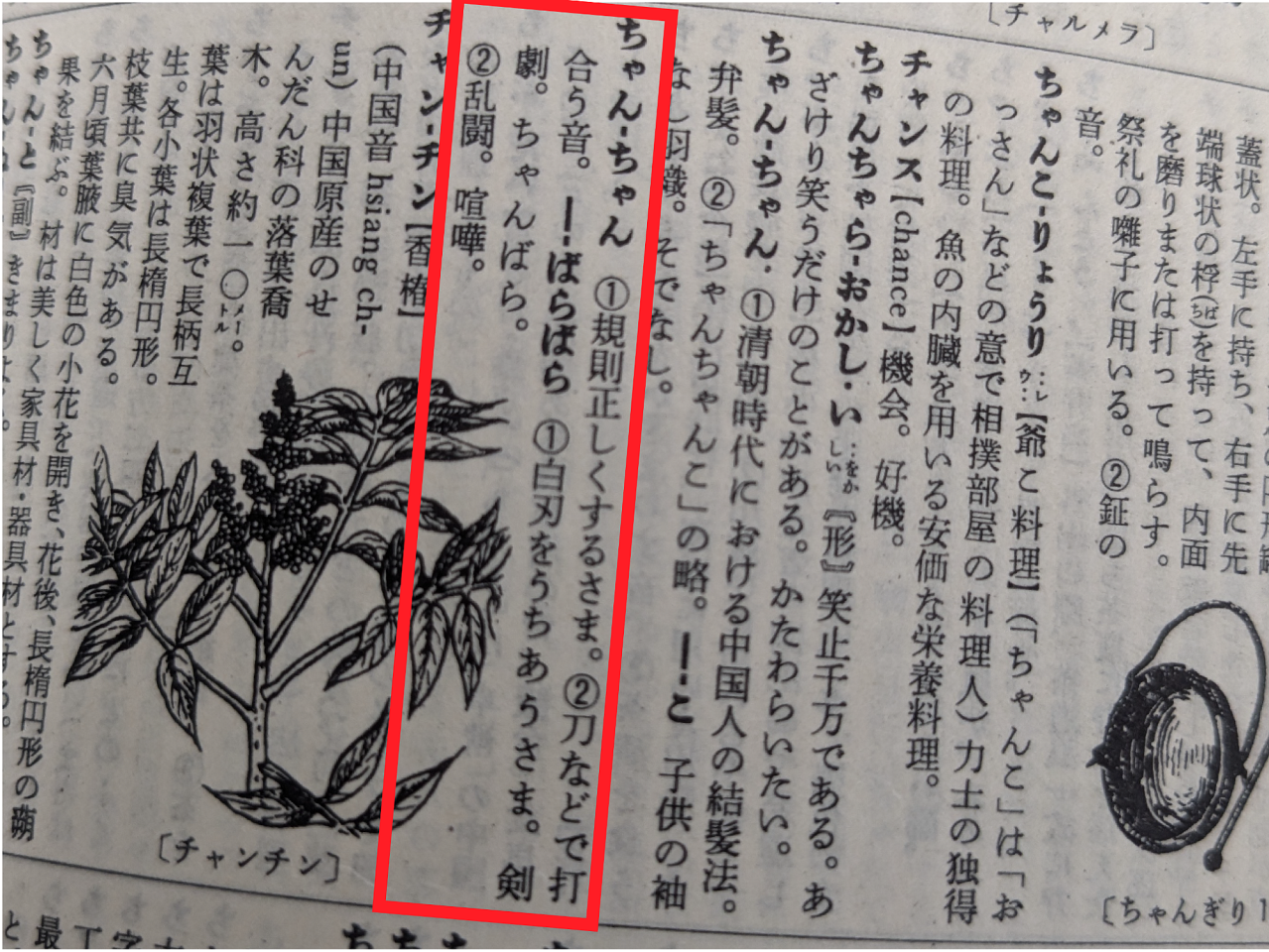 広辞苑の第一版は予測不能でおもしろい (1/2) :: デイリーポータルZ