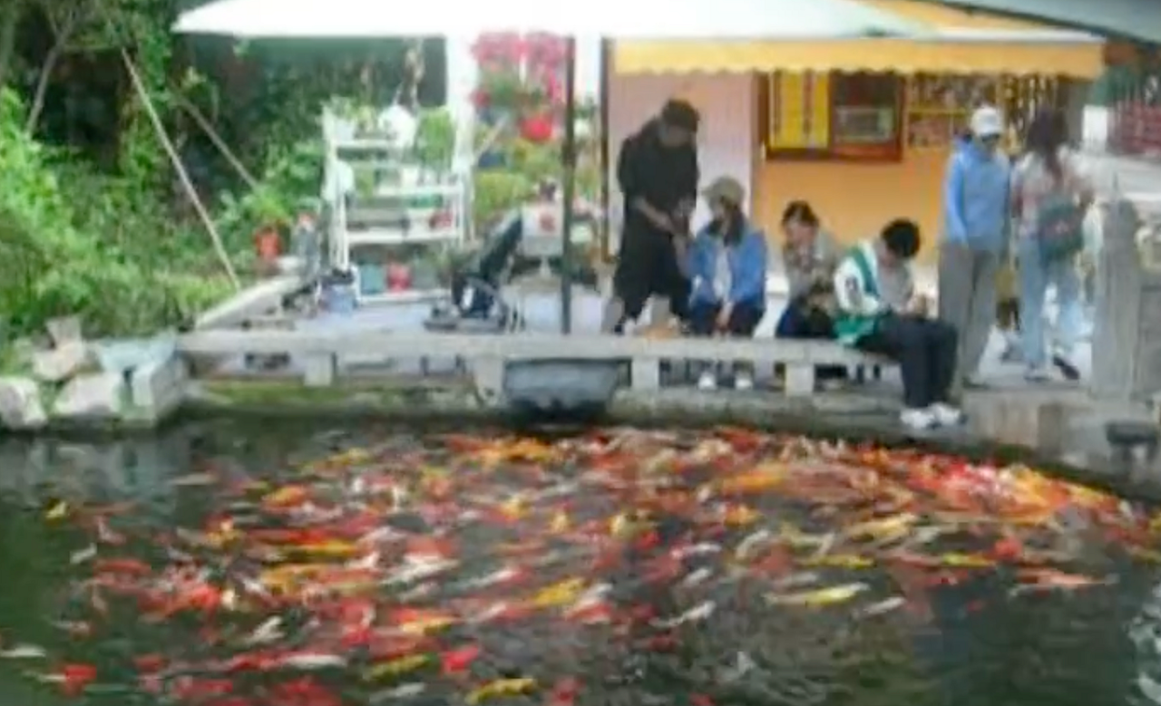 image_s008.png