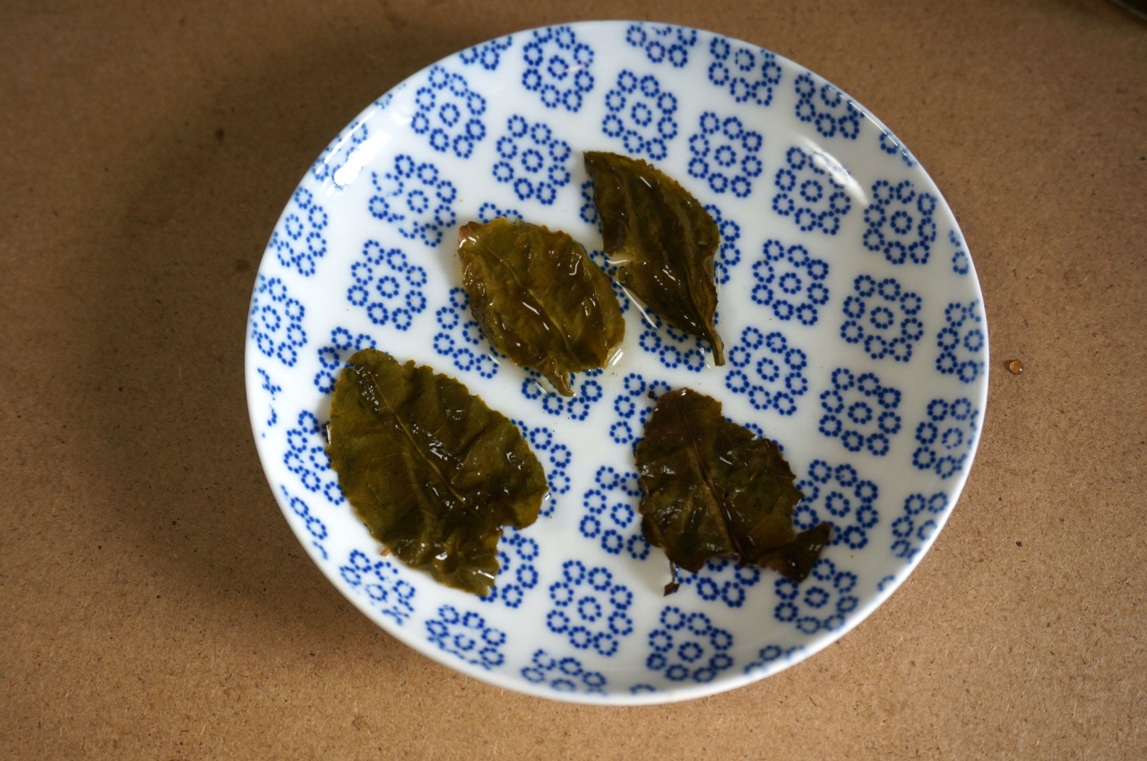 DSC00861.JPG