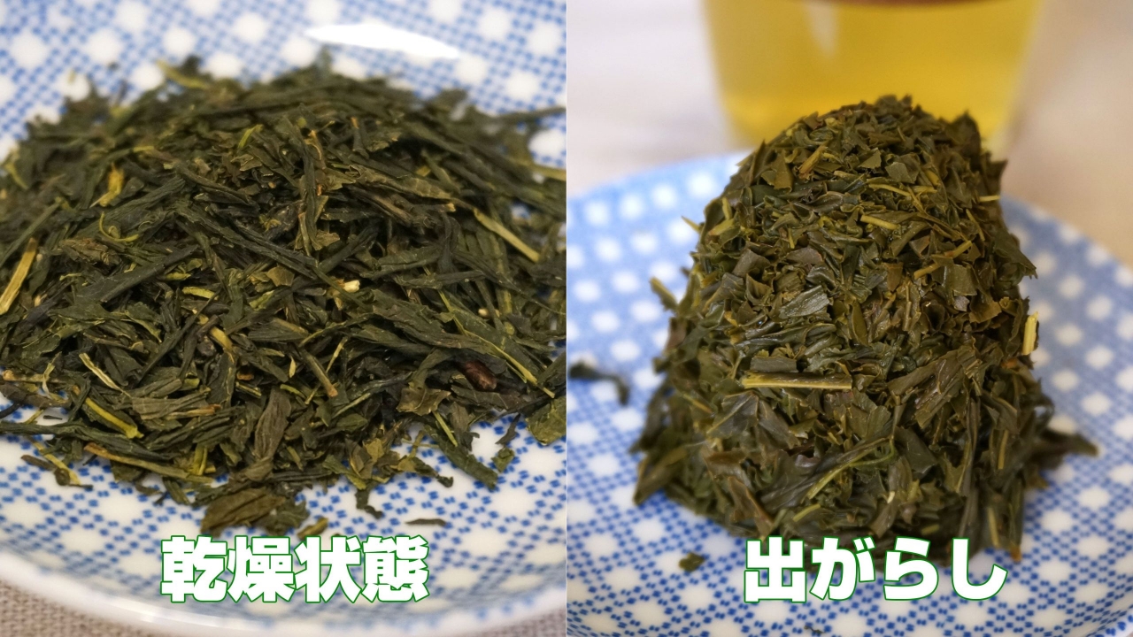 ryokutya.jpg