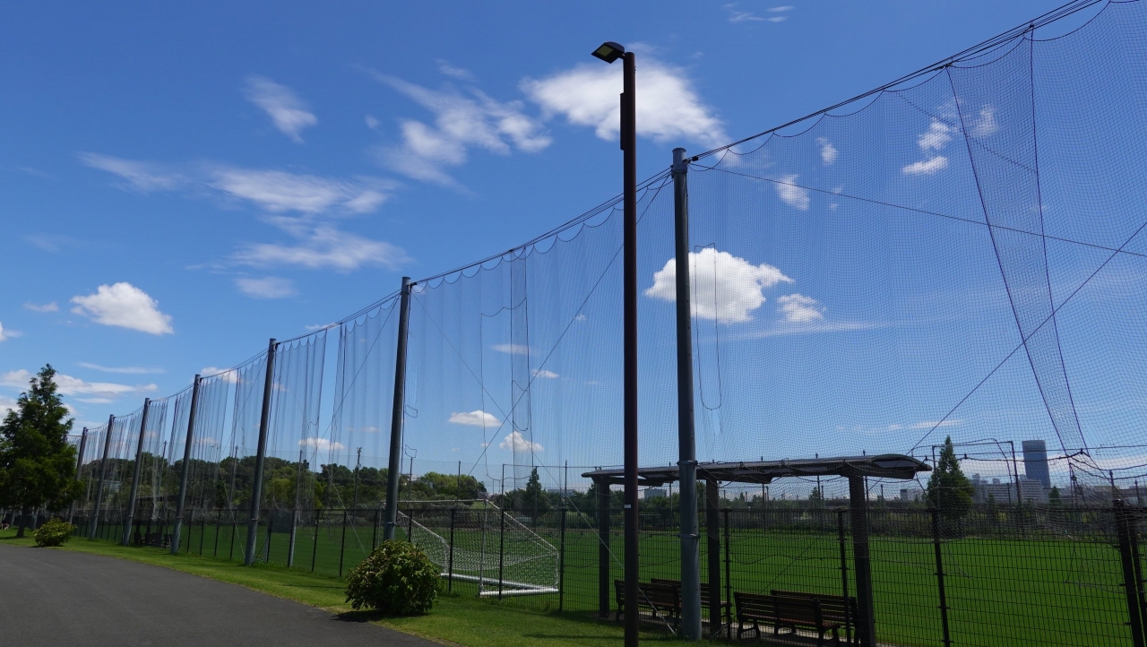 shinyoko_212.JPG