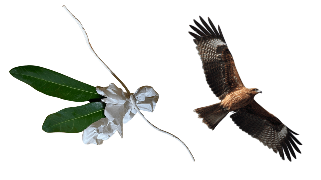 image7.png