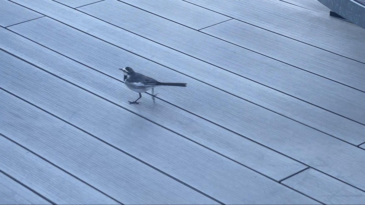 image13.jpg
